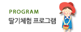  딸기체험 프로그램
